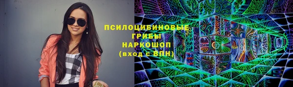 МДПВ Алзамай