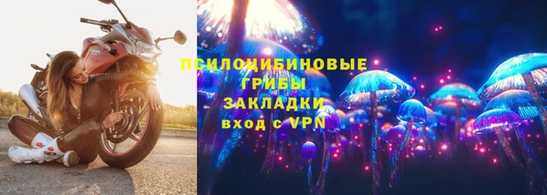 МДПВ Алзамай